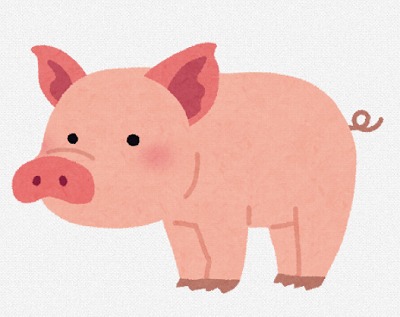 ギネス記録　[ ケーレーザー・テクノロジー・ジャパン　古澤 ]　2025/10/27