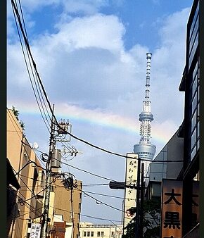 思わずワクワク　[ 金箔屋卯兵衛　市川 ]　2025/7/17