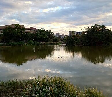 継続することはむつかしい　[ 営業部　大西 ]　2025/11/28