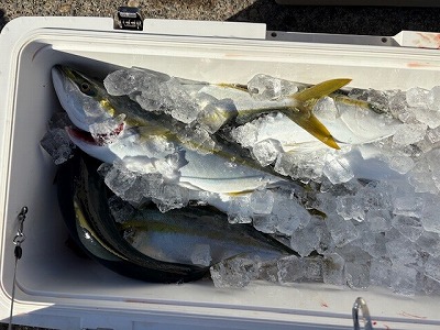 みんなで鳥羽へジギング釣行　[ フィッシング事業部　南 ]　2026/1/6