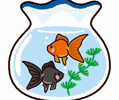 金魚　[ 営業部　鈴村 ]　2026/1/7