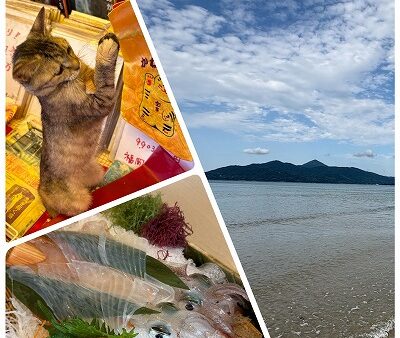 唐津勤務、海と猫とイカに癒されて　[ 総務課　関口 ]　2026/3/19