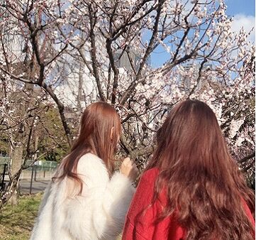 東京で出会った早咲きの桜　[ 販売管理Ｇ　アン ]　2026/3/18